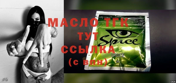 гидра Пестово