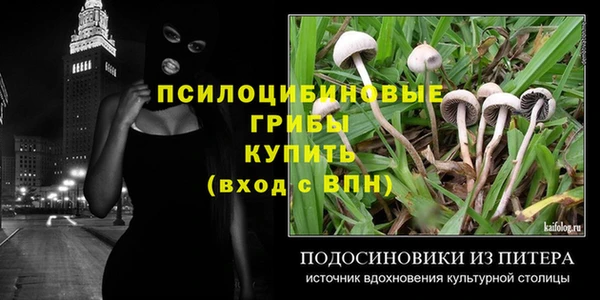 мяу мяу мука Пересвет