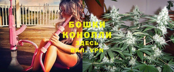 гидра Пестово