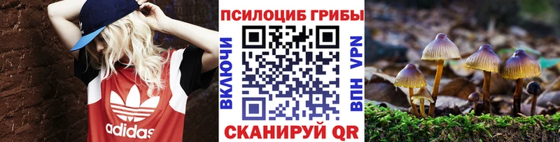 Галлюциногенные грибы GOLDEN TEACHER  Суоярви 
