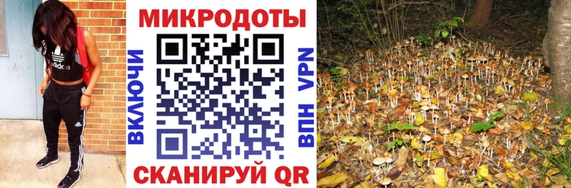Псилоцибиновые грибы Cubensis Суоярви